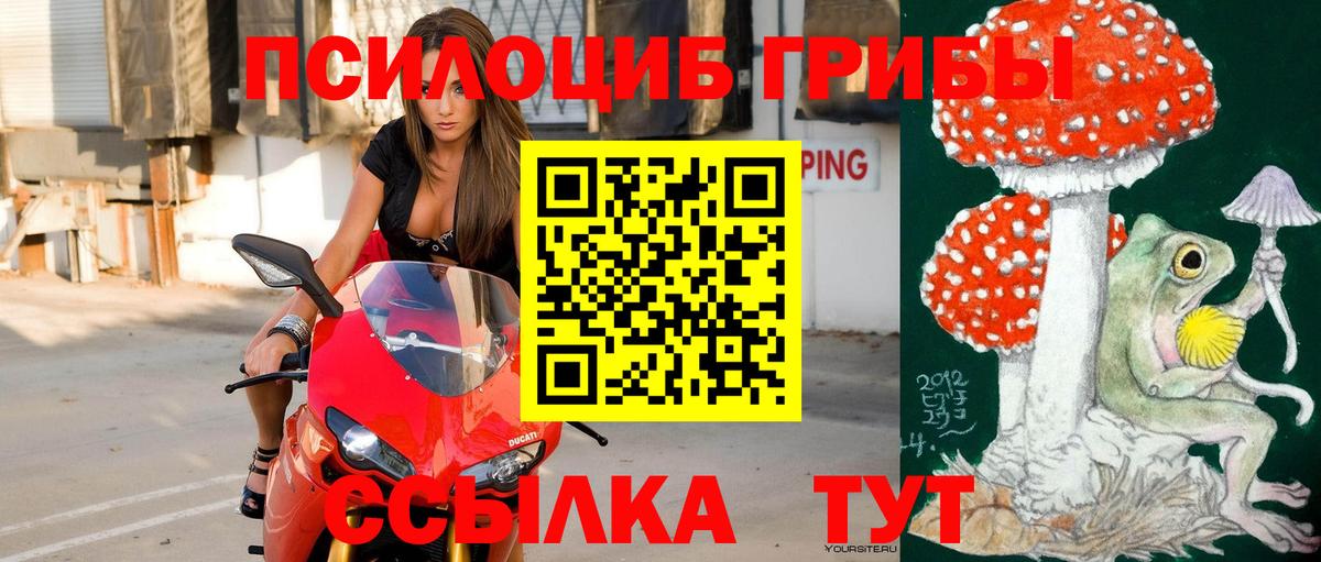 Галлюциногенные грибы MAGIC MUSHROOMS Куйбышев