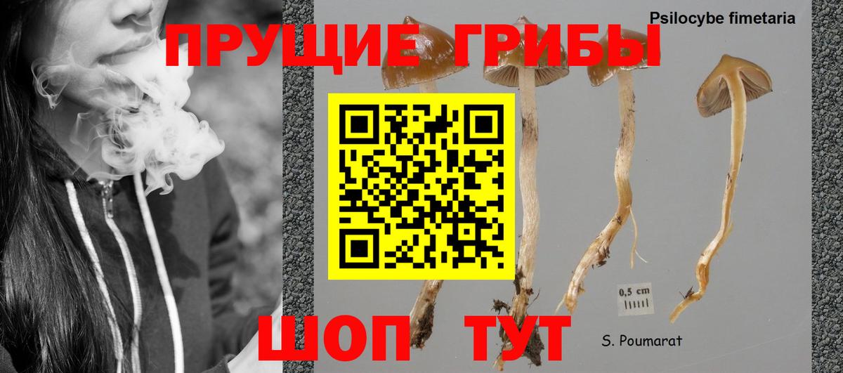 Псилоцибиновые грибы Cubensis  дарнет шоп  Куйбышев  Вход с VPN 